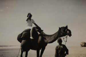 Photo De Culturele Significatie van Kamelenraces in het Midden-Oosten